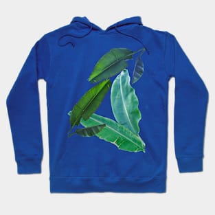 Banana Leaves Hoodie